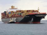 MSC-Damla