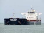 MSC-Magali
