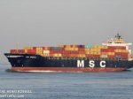 MSC_AMERICA