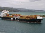 MSC_CANBERRA