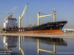 MSC_ESHA