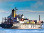 MSC_IRIS