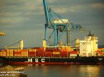 MSC_LUCIA