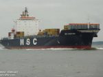MSC_MARTINA