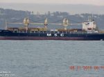 MSC_NICOLE
