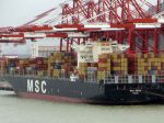 mv-MSC-Esthi